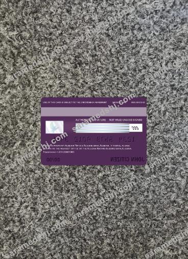 Algeria Natixis algerie bank visa card photolook back